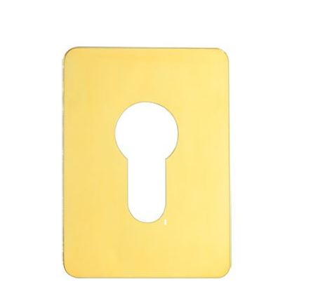TSS Large Euro Stick On Escutcheon