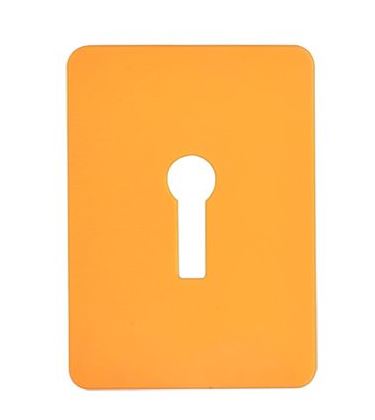 TSS Large UK Stick On Escutcheon