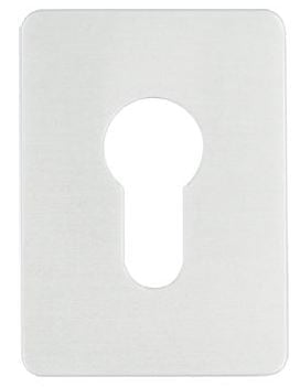 TSS Large Stick On Euro Escutcheon